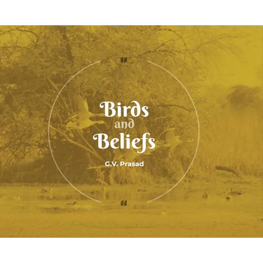 Birds and Beliefs