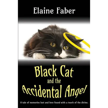 Black Cat and the Accidental Angel