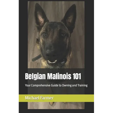 Belgian Malinois 101: Your Comprehensive Guide to Owning and Training