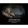 Awakening Awe: An Illustrated Journey to Reverence