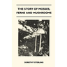 The Story Of Mosses, Ferns And Mushrooms