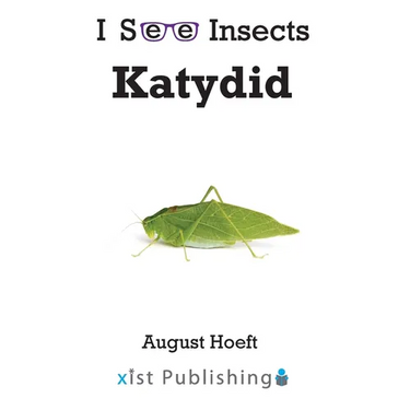 Katydid