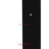 The Collection of Tatyana: Thepoetess.