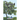 The Apricot Tree: Nobody Is Perfect