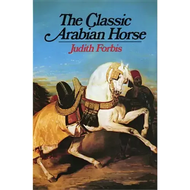 Classic Arabian Horse