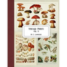 Vintage Prints: Vol. 5