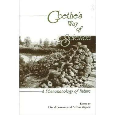 Goethe's Way of Science: A Phenomenology of Nature
