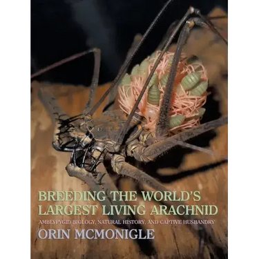 Breeding the World's Largest Living Arachnid: Amblypygid (Whipspider) Biology, Natural History, and Captive Husbandry