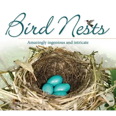 Bird Nests: Amazingly Ingenious and Intricate