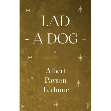 Lad - A Dog