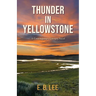 Thunder in Yellowstone: A contemporary literary novel