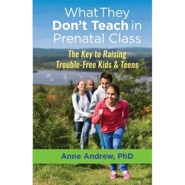 What They Don't Teach in Prenatal Class: The Key to Raising Trouble-Free Kids & Teens
