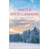 Celebrating Abundance: Devotions for Advent