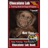 Chocolate Lab Chocolate Labrador Retriever Training Book for Dogs & Puppies By BoneUP DOG Training: Are You Ready to Bone Up? Easy Steps * Fast Result