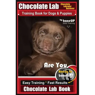Chocolate Lab Chocolate Labrador Retriever Training Book for Dogs & Puppies By BoneUP DOG Training: Are You Ready to Bone Up? Easy Steps * Fast Result