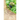 Mystery Behind The Garden Of Eden