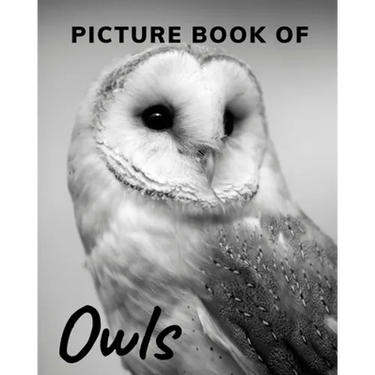 Picture Book of Owls: The Picture Book for Alzheimer's Patients and Seniors with Dementia.