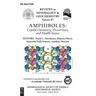 Amphiboles: Crystal Chemistry, Occurrence, and Health Issues
