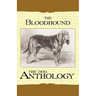 The Bloodhound - A Dog Anthology (A Vintage Dog Books Breed Classic)
