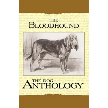 The Bloodhound - A Dog Anthology (A Vintage Dog Books Breed Classic)