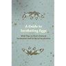 A Guide to Incubating Eggs - With Tips on Bird's Natural Incubation and Artificial Incubation