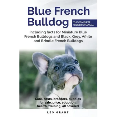 Blue French Bulldog: Care, costs, price, adoption, health, training and how to find breeders and puppies for sale.