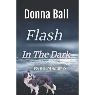Flash in the Dark