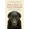 Your Dog Is Your Mirror: The Emotional Capacity of Our Dogs and Ourselves