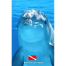 Diver's Log Book: scuba diving log book 100 dives