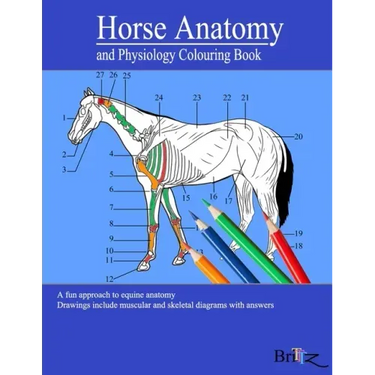 Horse Anatomy and Physiology Colouring Book: A Detailed Guide to Equine Anatomy with Answers Perfect Gift for Veterinary Students, Animal lovers, Adul