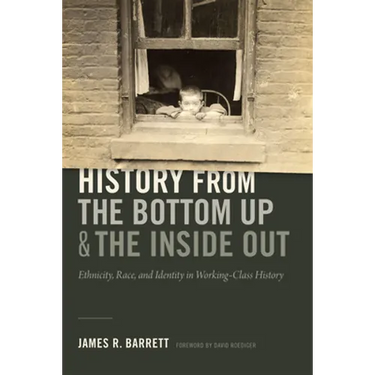 History from the Bottom Up and the Inside Out: Ethnicity, Race, and Identity in Working-Class History