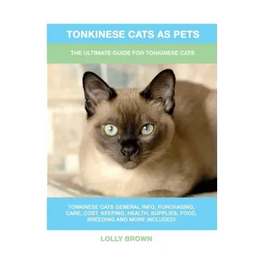 Tonkinese Cats as Pets: The Ultimate Guide for Tonkinese Cats