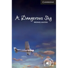 A Dangerous Sky Level 6 Advanced