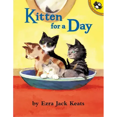 Kitten for a Day