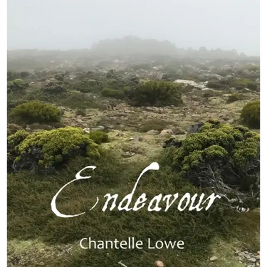 Endeavour: Poetry Anthology - Volume Three