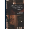 A Naturalist's Sojourn in Jamaica