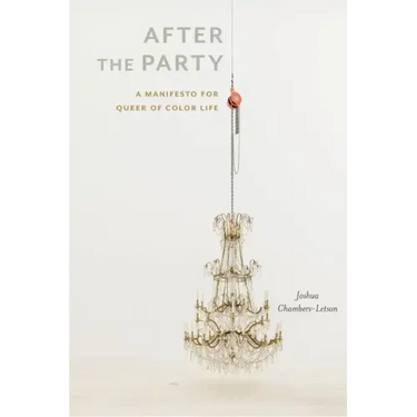 After the Party: A Manifesto for Queer of Color Life