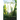 The Storyteller and the Garden of Eden