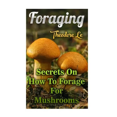 Foraging: Secrets On How To Forage For Mushrooms