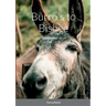 Burro's to Bisbee: Western Fiction Album