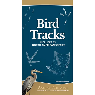 Bird Tracks: Includes 55 North American Species