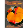 Anthurium: Plant overview and guide