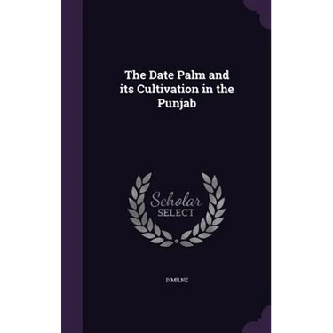 The Date Palm and its Cultivation in the Punjab