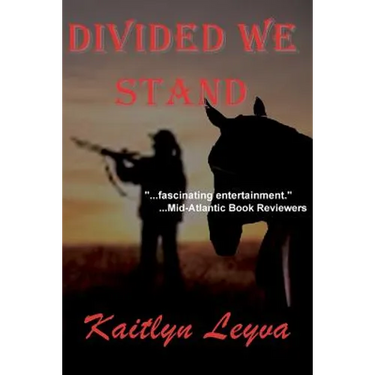 Divided We Stand