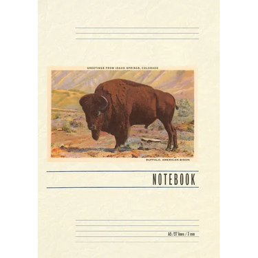 Vintage Lined Notebook Greetings from Idaho Springs