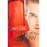 Chase in Shadow