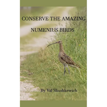 Conserve the Amazing Numenius Birds