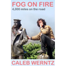 Fog on Fire