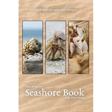 The Burgess Seashore Book with new color images