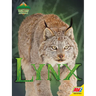 Lynx